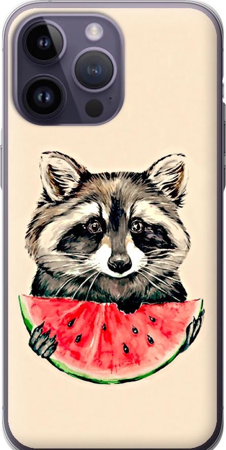 Чехол на iPhone 14 Pro Max Енотик с арбузом (4605u-2667-42517)