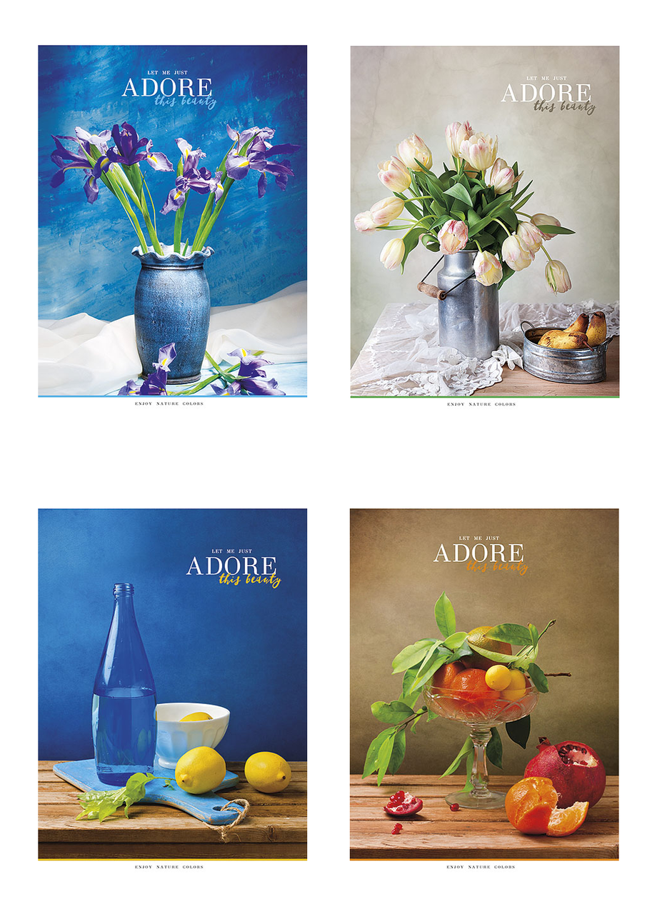 Комплект школьных общих тетрадей Школярик А5 48 л. в линейку 4 шт. (5067 4823088207620)