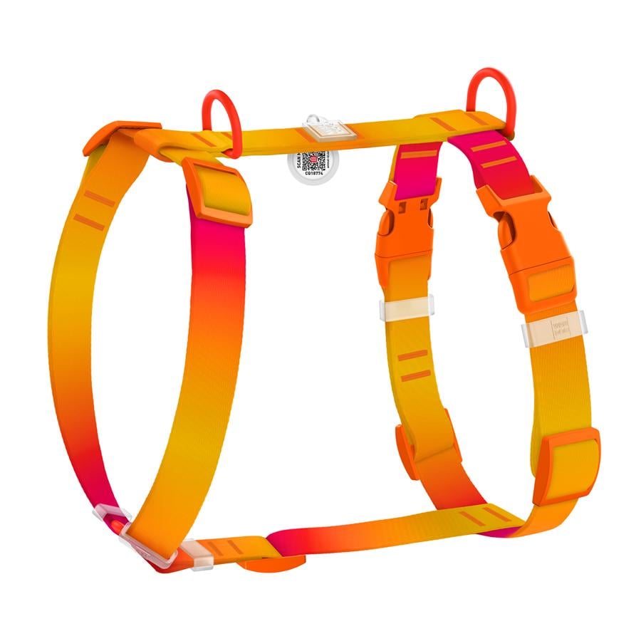Шлейка для собак с QR-паспортом WAUDOG Nylon Recycled Градиент пластиковый фастекс S 15 мм A 30-45 см/B 35-45 см Orange (47514) Шлейка для собак с QR-паспортом WAUDOG Nylon Recycled Градиент пластиковый фастекс S 15 мм A 30-45 см/B 35-45 см Orange (47514)