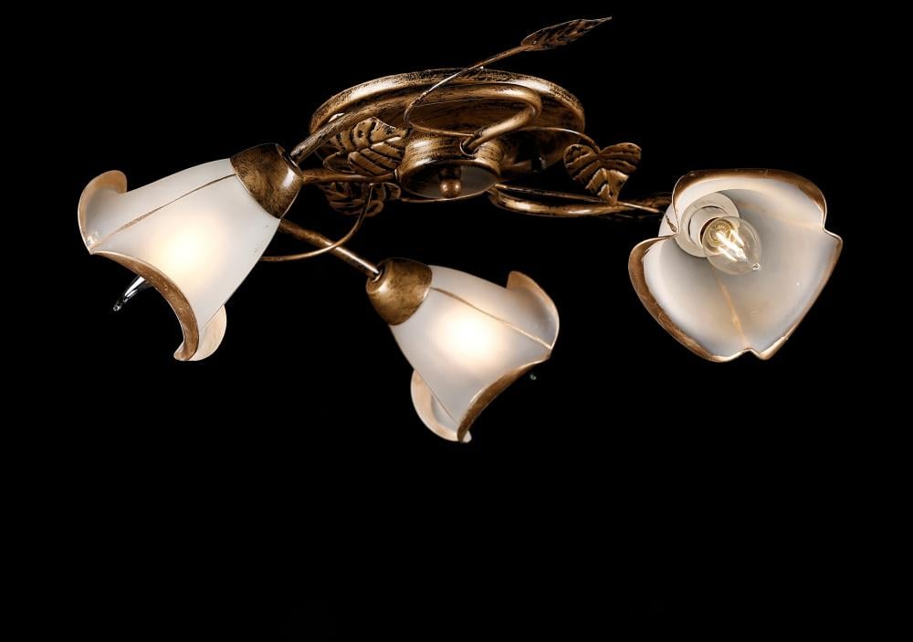 Люстра с плафонами Ray L90230/3 (IR005564)