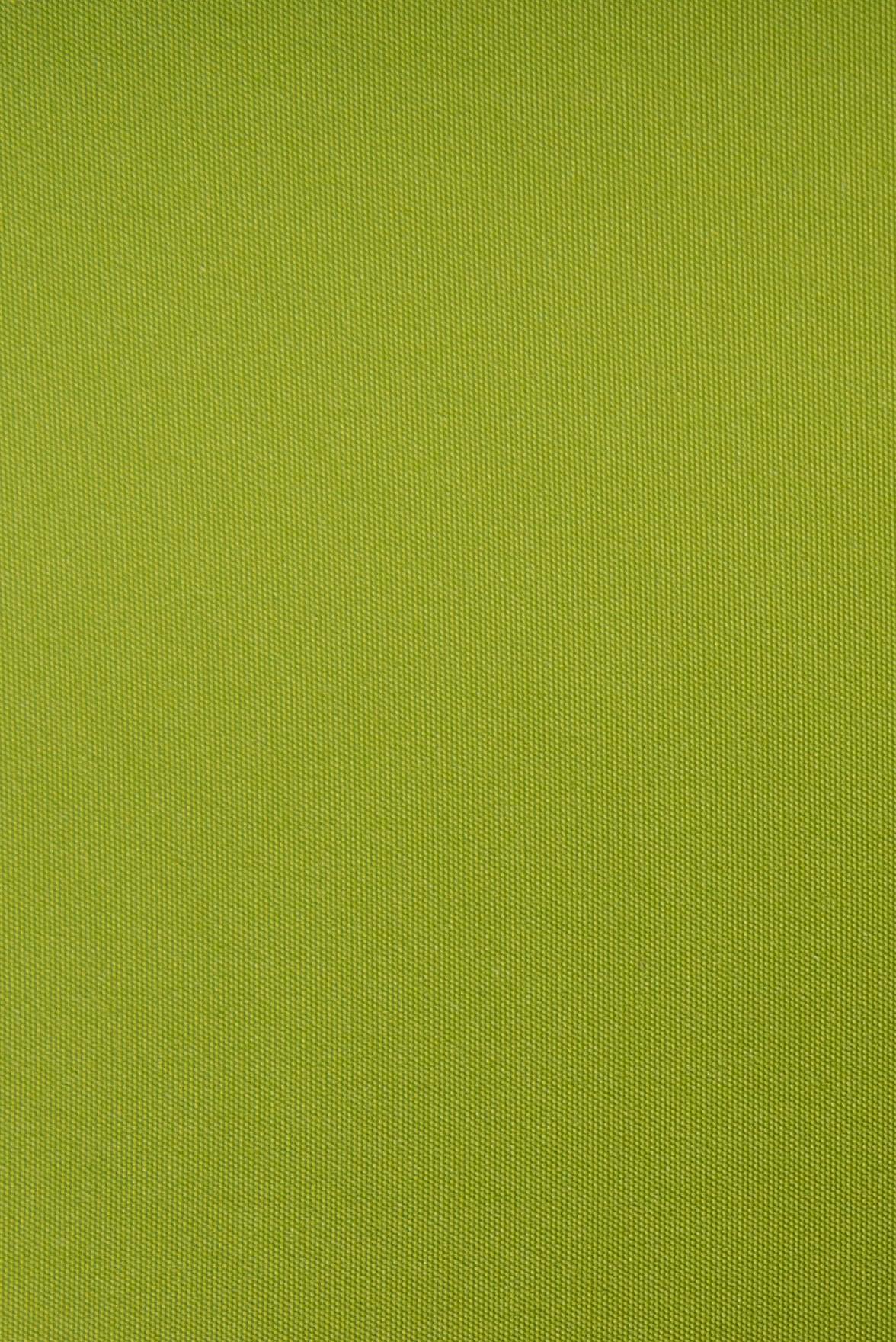 ᐉ Рулонная штора Berlin закрытого типа 60х170 см Салатовый • Купить в ...