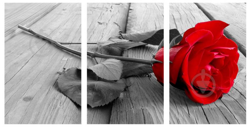 Модульная картина Декор Карпаты 100х53 см Роза (M3-red rose on wood)