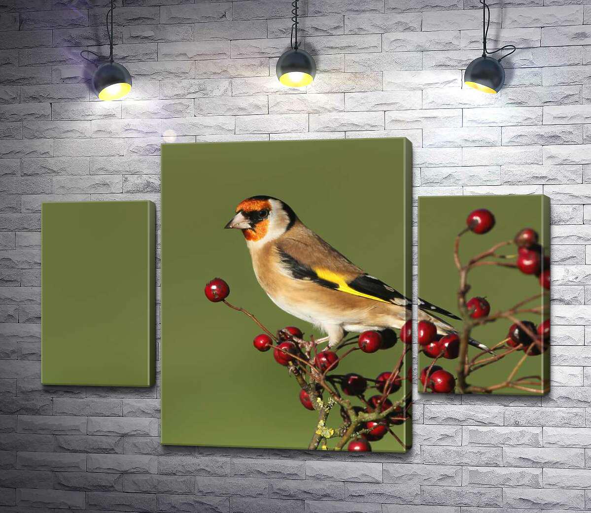 ᐉ Модульная картина ArtPoster Чорноголовий щоголь сидить на гілці з ...