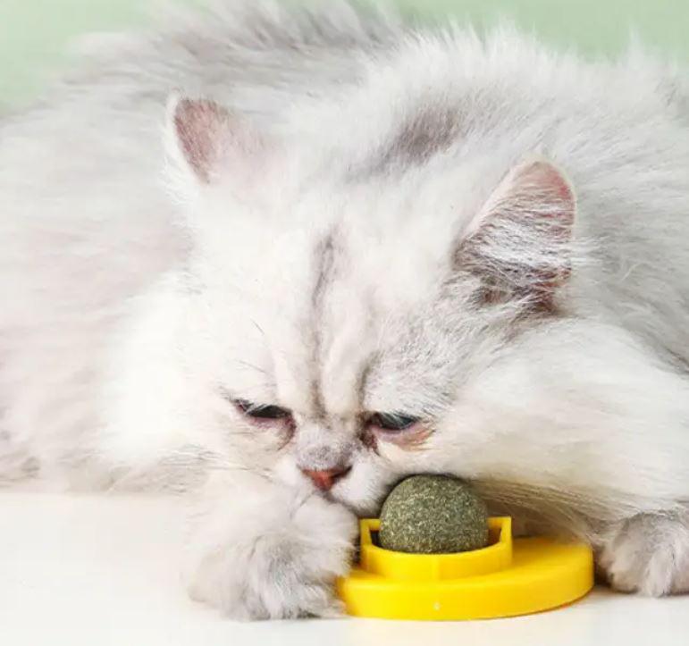 Іграшка кулька для котів Качечка обертаюча котяча м'ята Жовтий (783af945) - фото 2 Іграшка кулька для котів Качечка обертаюча котяча м'ята Жовтий (783af945) - фото 2