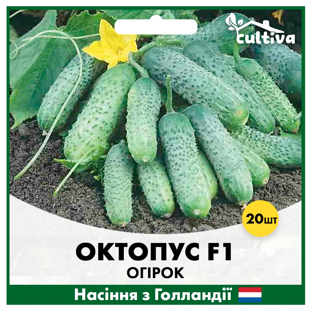 Семена огурца Syngenta Октопус F1 20 шт. (00186)