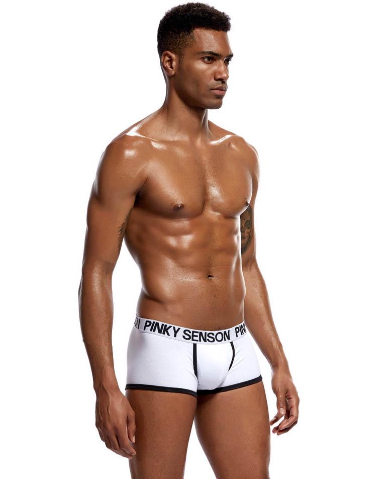 Трусы Pinky Senson L Белый (4395) Трусы Pinky Senson L Белый (4395)