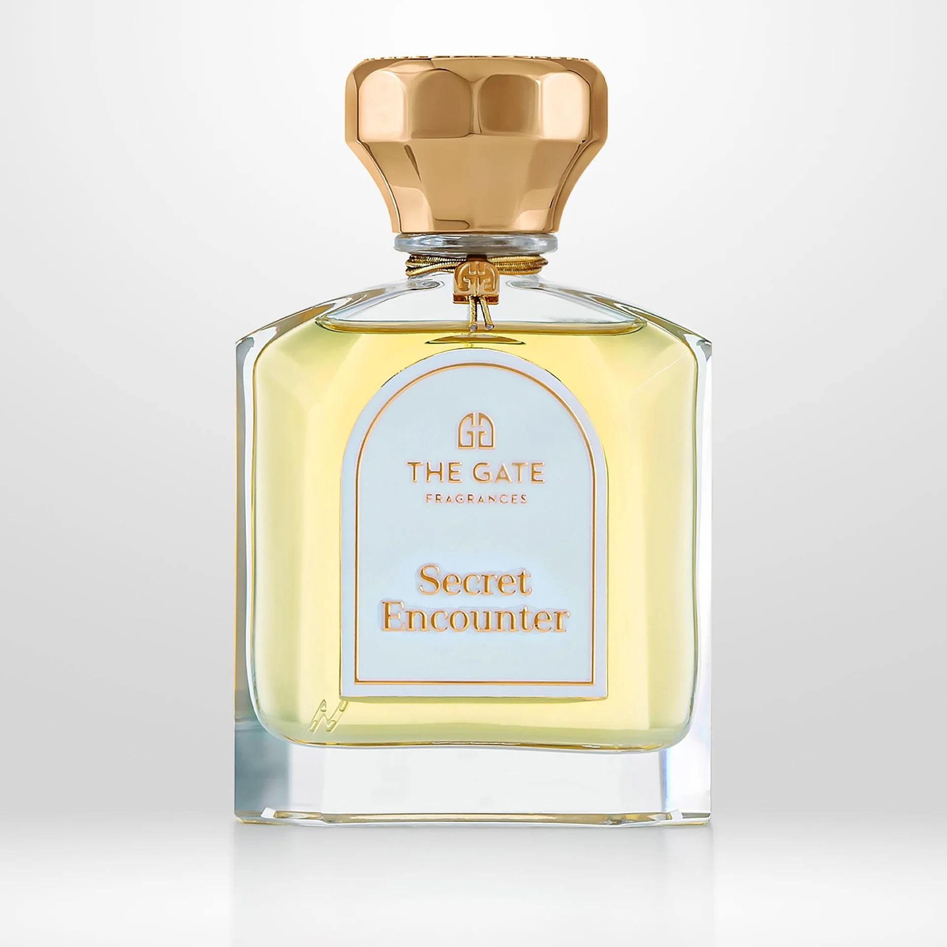 Духи унисекс The Gate Fragrances Secret Encounter 100 мл в транспортной упаковке (382294)