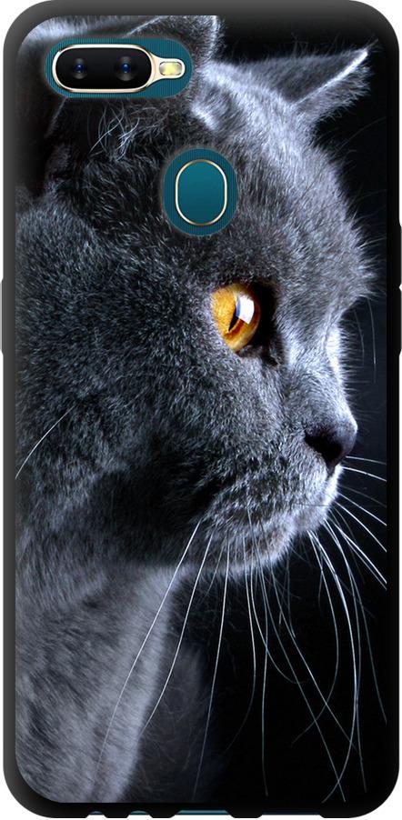 Чехол на Oppo A5S Красивый кот (3038b-1892-42517)