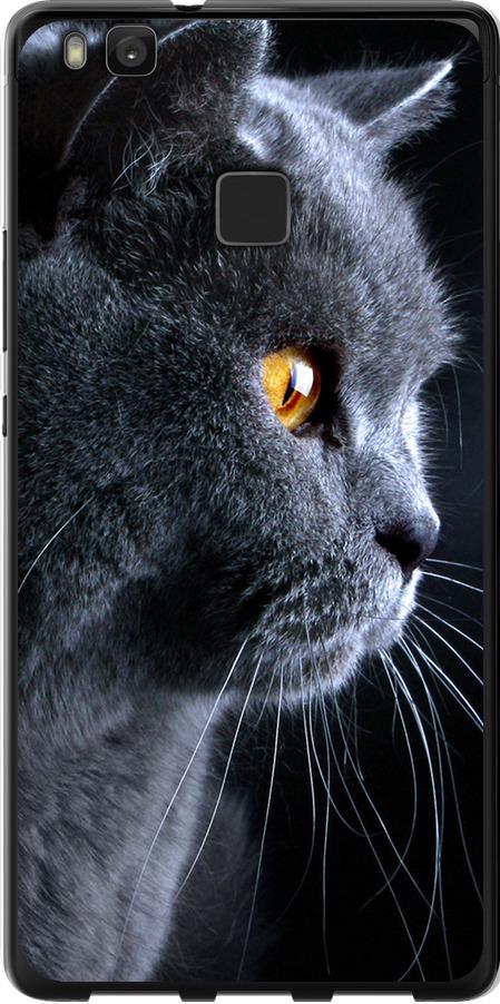 Чехол на Huawei P9 Lite Красивый кот (3038t-298-42517)