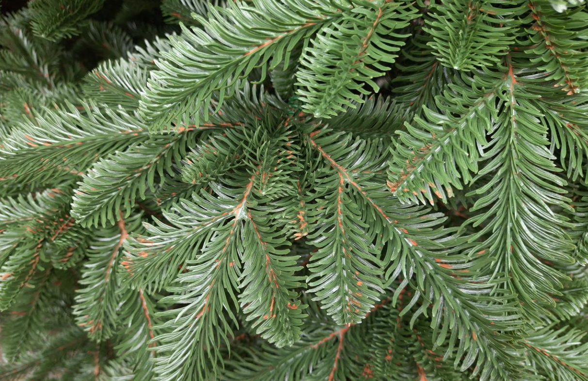 Штучна ялинка лита Канадська з підставкою 2,30 м Темно-зелений (NYT15306) - фото 9 Штучна ялинка лита Канадська з підставкою 2,30 м Темно-зелений (NYT15306) - фото 9