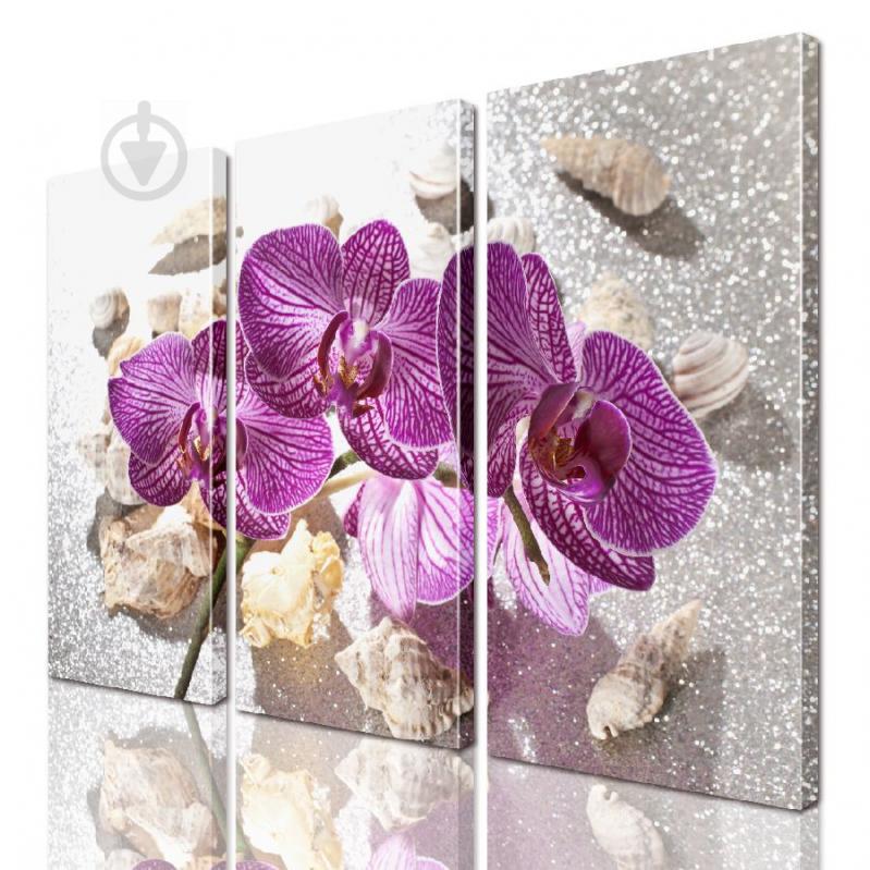 Модульная картина ArtStar цветы Орхидея ADFL0150 размер 95 х 120 см