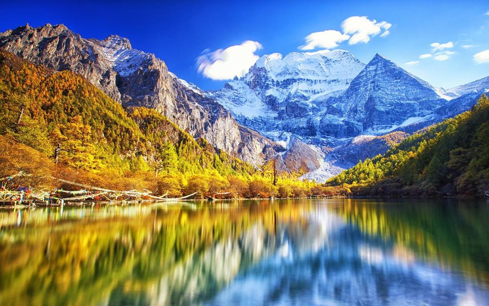 Картина Природа PR086 55х85 см