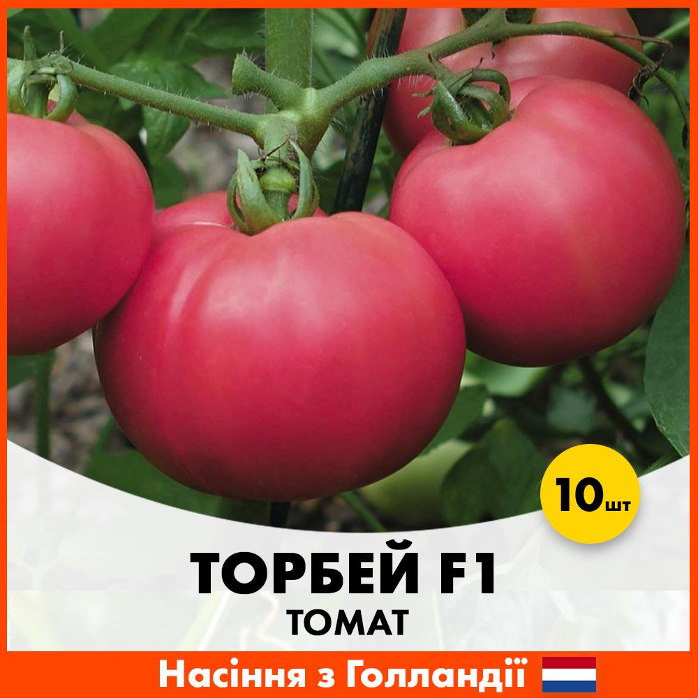 Семена томата Bejo Торбей F1 10 шт. (00205)