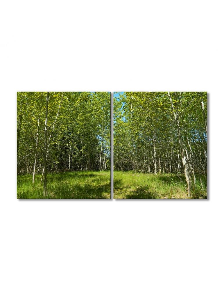 Картина модульная Пейзаж рощи деревьев 2 модуля 70x105 см