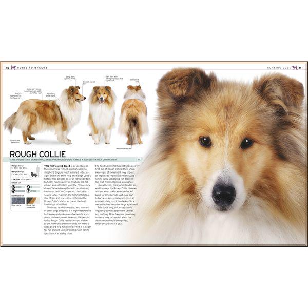 Книга Dorling Kindersley "DK The Complete Dog Breed Book" (ISBN:9780241412732) - фото 2