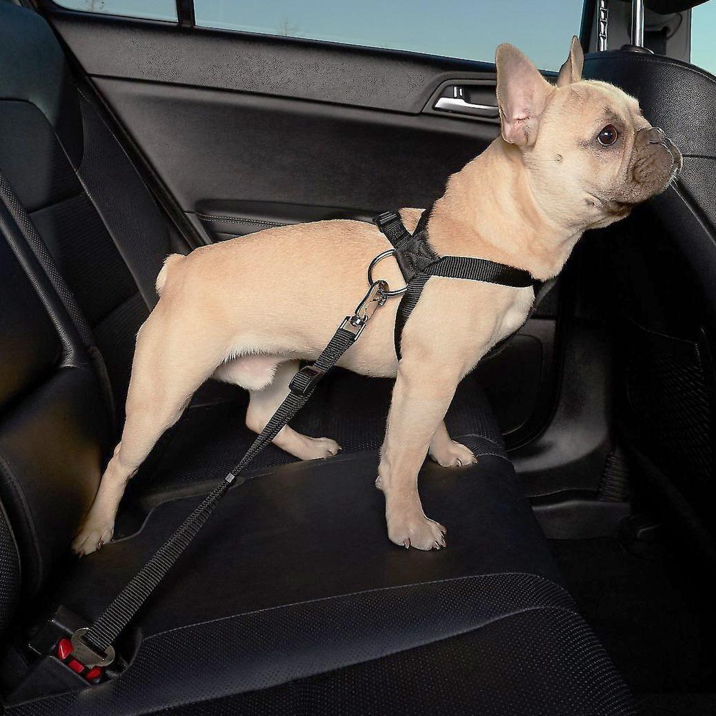 Поводок автомобильный Dog Car Belt Черный (00802-01) - фото 8