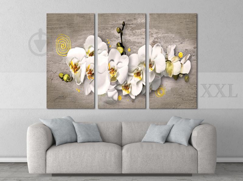 Модульна картина Poster-land Абстракція Квіти Art-223_XXL