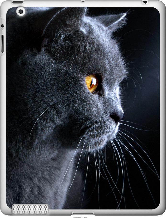 Чехол на iPad 2/3/4 Красивый кот (3038u-25-42517) Чехол на iPad 2/3/4 Красивый кот (3038u-25-42517)
