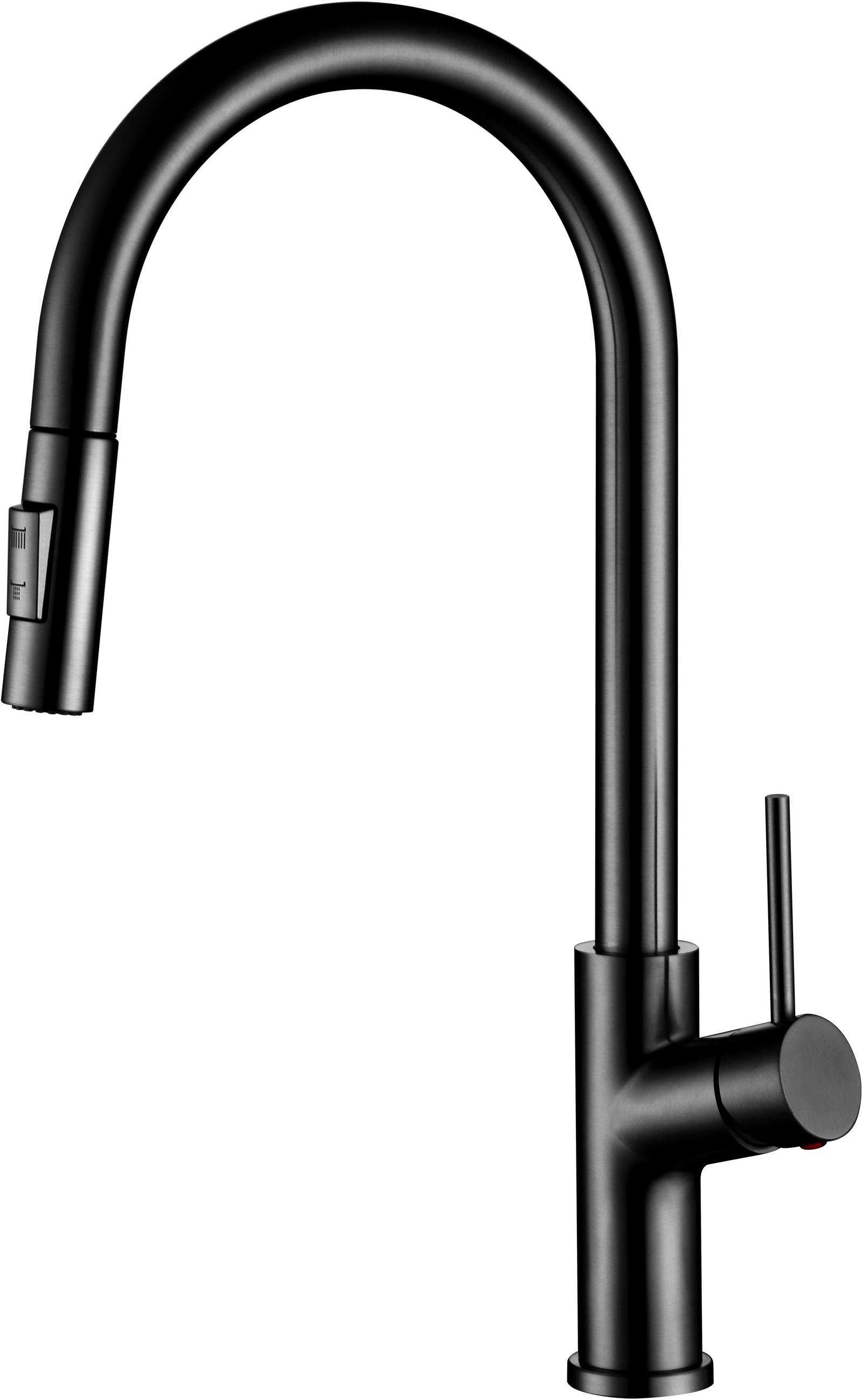 Кухонный смеситель Gunter&Hauer MOND Black (7158)