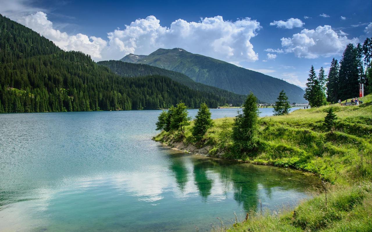 Картина на холсте Природа 30х40 см (PR322)