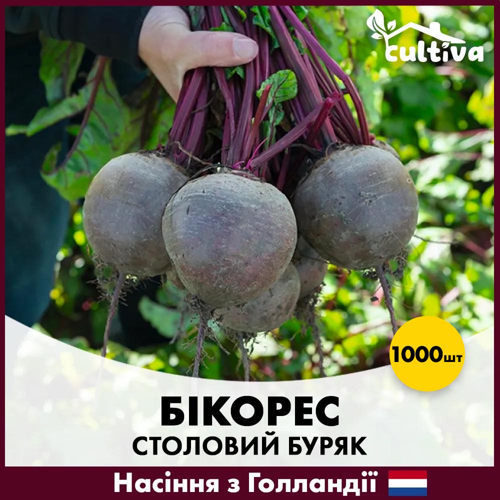 Семена свеклы Bejo Столовый бикорес 1000 шт. (00276-1000)