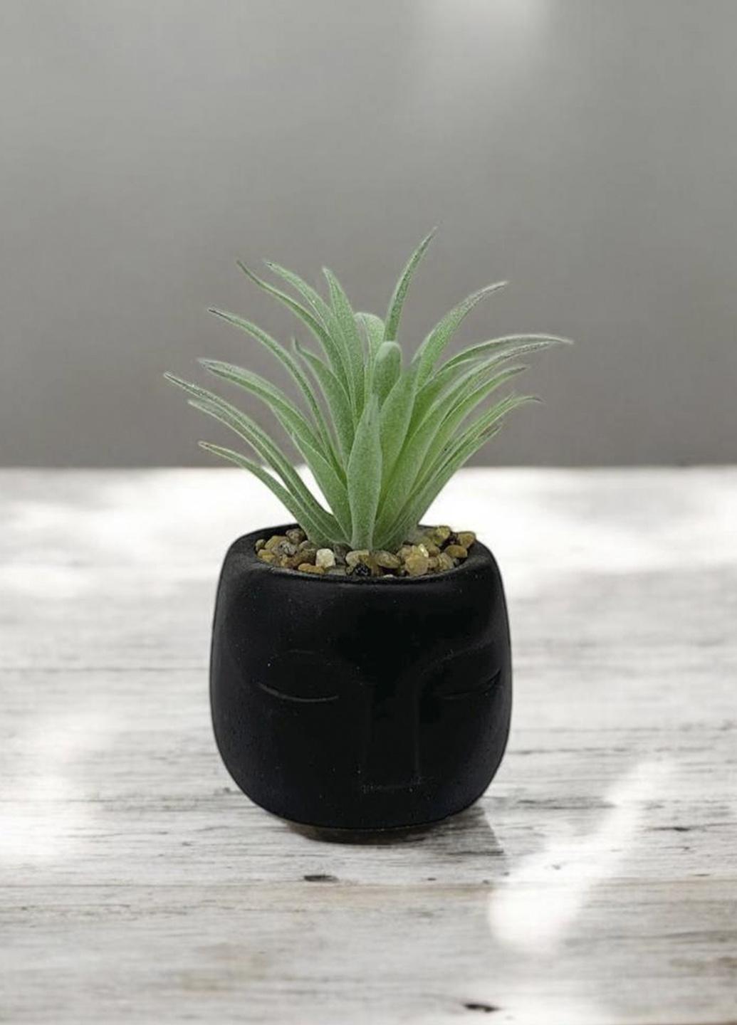 Сукулент штучний Laska у бетонному горщику 9х5 см Чорний (215446) - фото 1 Сукулент штучний Laska у бетонному горщику 9х5 см Чорний (215446) - фото 1