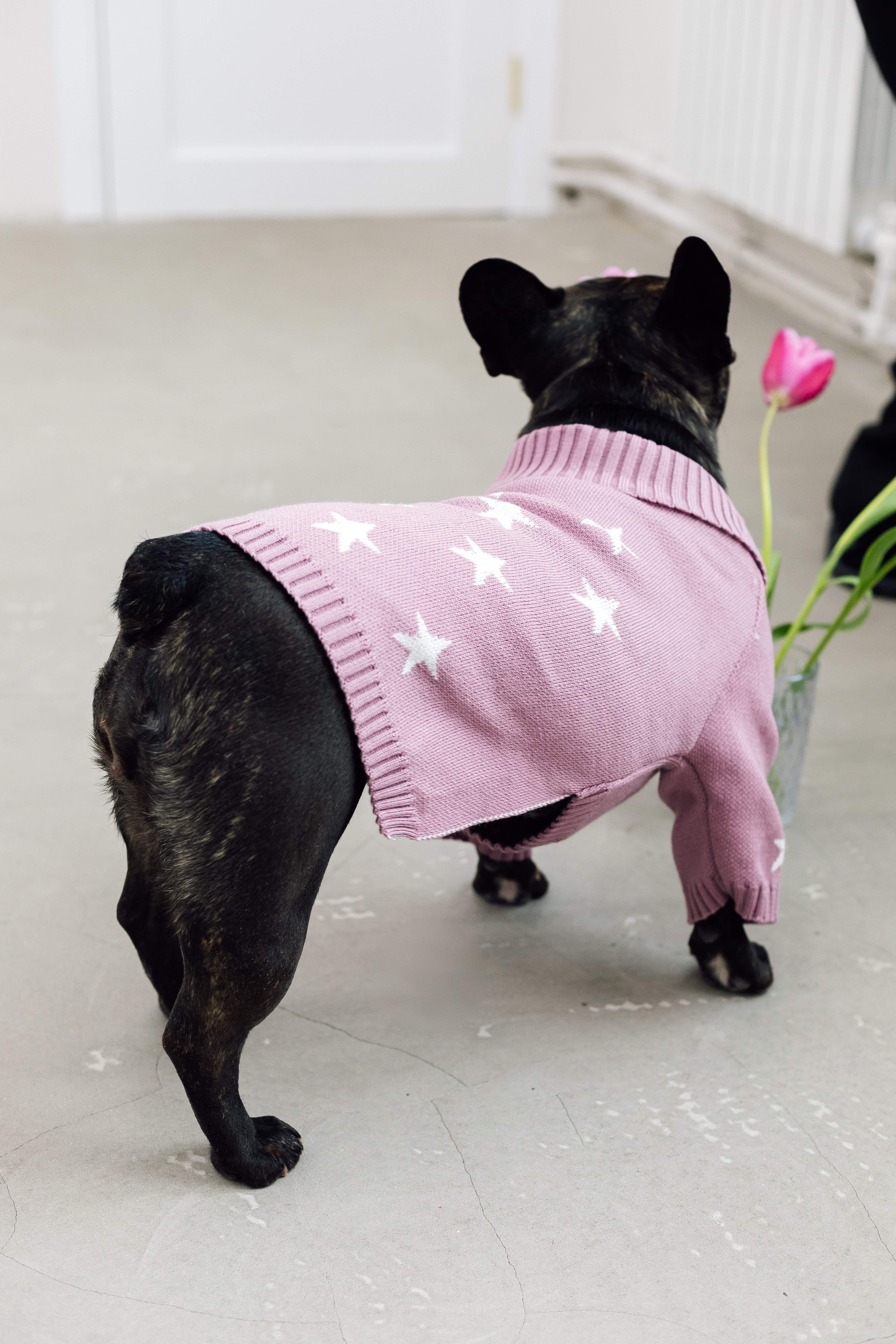 Свитер для собак Dogs Bomba Y-328 Звездочки вязаный р. 2 Розовый (15127072)