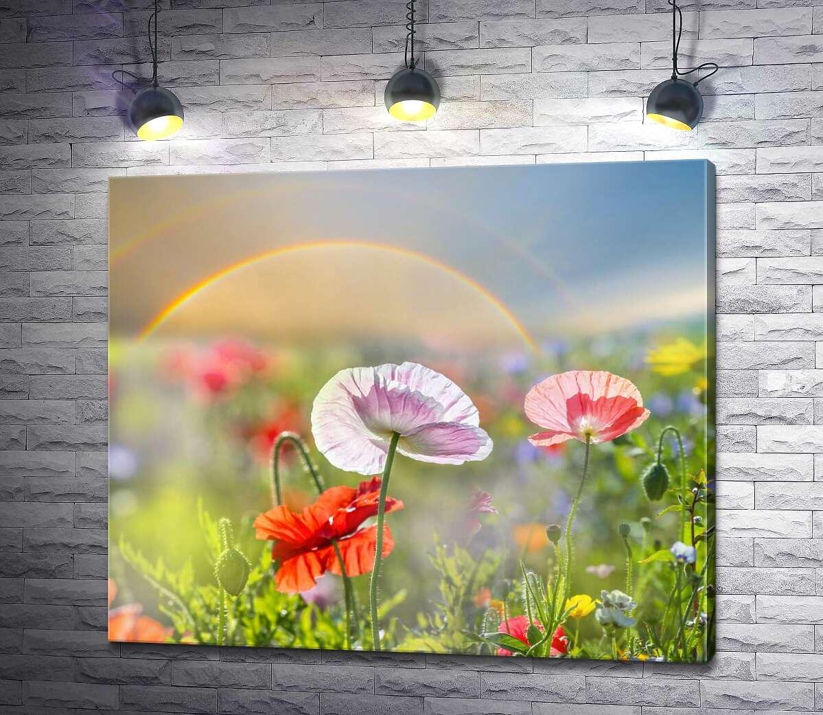Картина ArtPoster Ніжні польові маки під яскравою веселкою 50x43 см Модуль №1 (004385)