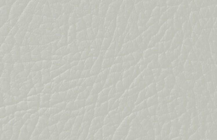 Емаль для фарбування шкіри Leather Expert Colourant 100 г 406 Light Grey