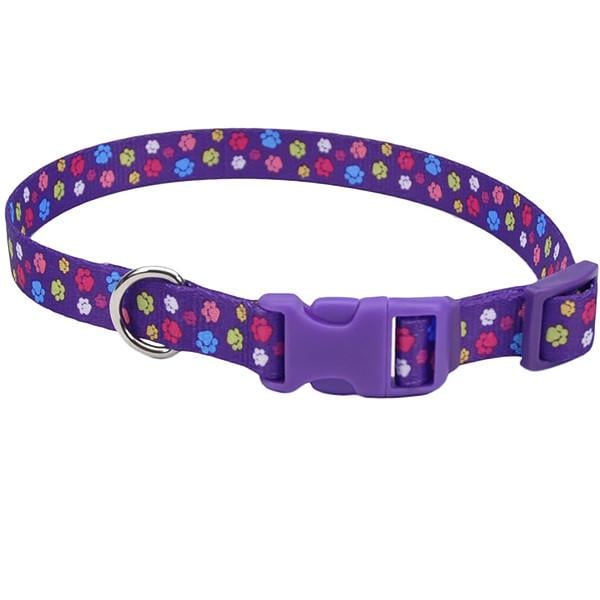 Нашийник для собак Coastal Pet Attire Styles 2,5х46-66 см (06921_SPW26)