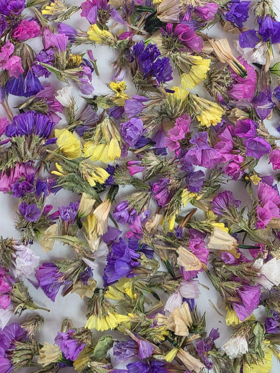 Сухоцвет Незабудки микс для декора/свечей/мыла/косметики/эпоксидной смолы (212) - фото 2 Сухоцвет Незабудки микс для декора/свечей/мыла/косметики/эпоксидной смолы (212) - фото 2