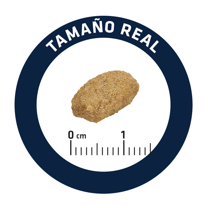 Корм сухий Advance Sterilized с индейкой 3 кг - фото 2 Корм сухий Advance Sterilized с индейкой 3 кг - фото 2