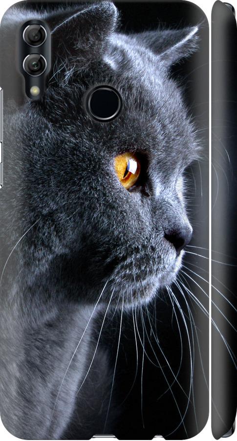 Чехол на Huawei Honor 10 Lite Красивый кот (3038m-1618-42517)