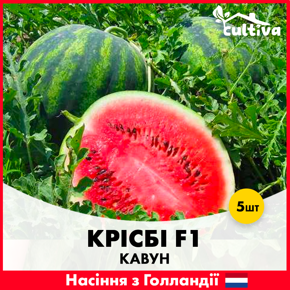 Семена арбуза Nunhems Крисби F1 5 шт. (00145)