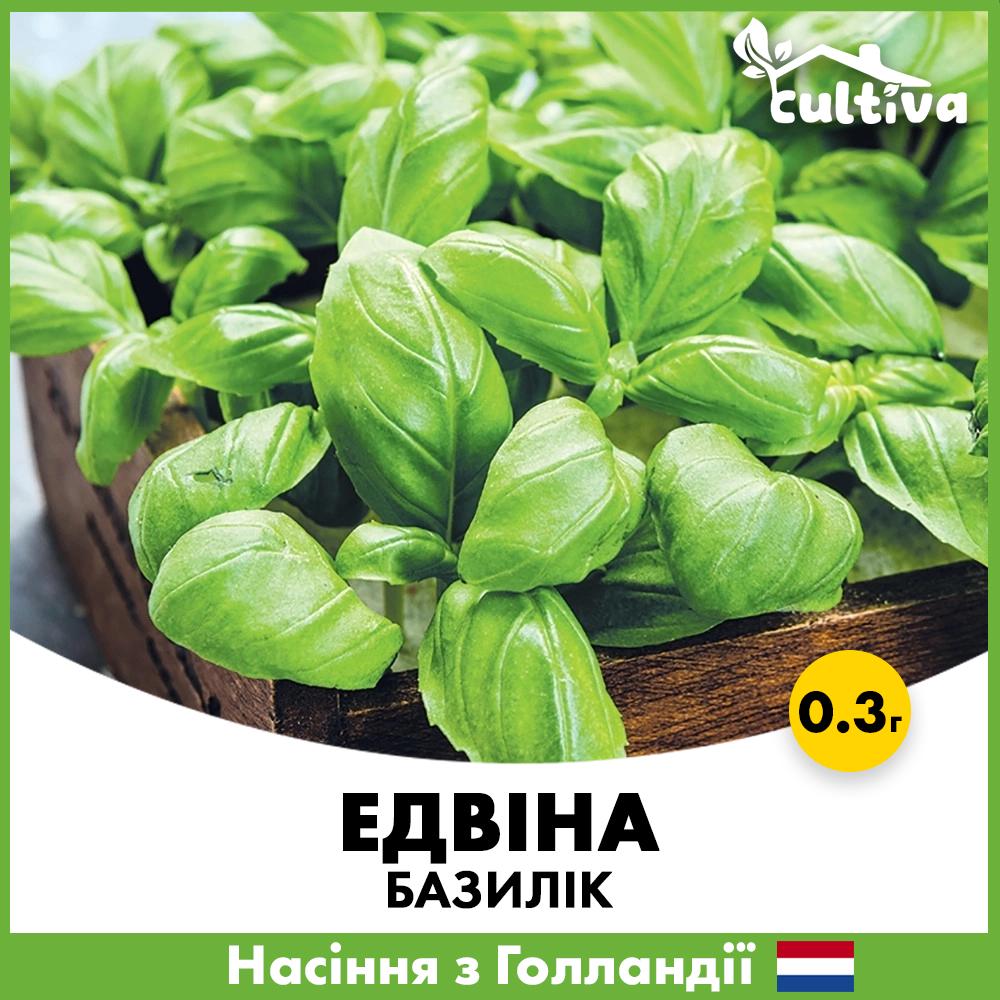 Семена базилика Enza Zaden Эдвина 0,3 г (BE03N)
