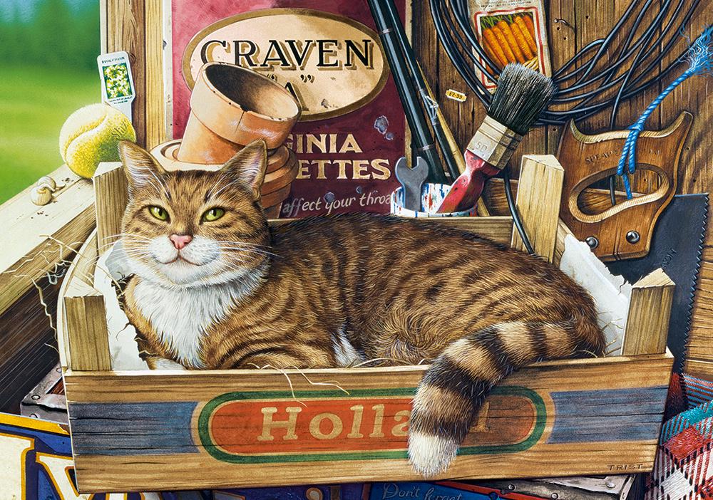 Пазли Кастор Кіт фозергілл 47х33 см 500 шт. (b-53476) Пазли Кастор Кіт фозергілл 47х33 см 500 шт. (b-53476)