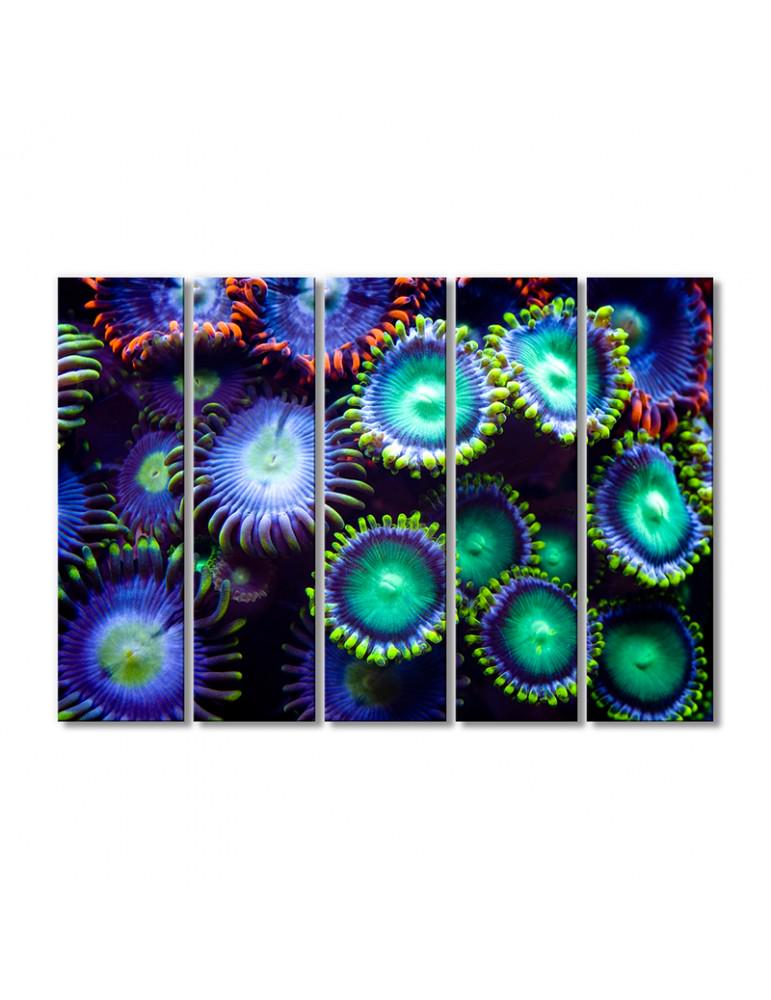 Картина модульная Сине-зеленые морские анемоны 5 модулей 80x120 см
