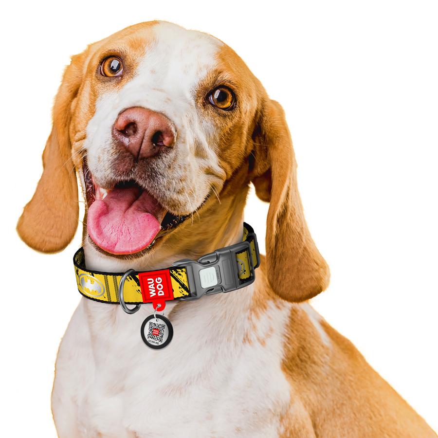 Ошейник для собак с QR-паспортом Waudog Nylon Бэтмен Эскиз светоотражающий пластиковый фастекс XL 25 мм 37-58 см Yellow (283-1081) - фото 6 Ошейник для собак с QR-паспортом Waudog Nylon Бэтмен Эскиз светоотражающий пластиковый фастекс XL 25 мм 37-58 см Yellow (283-1081) - фото 6
