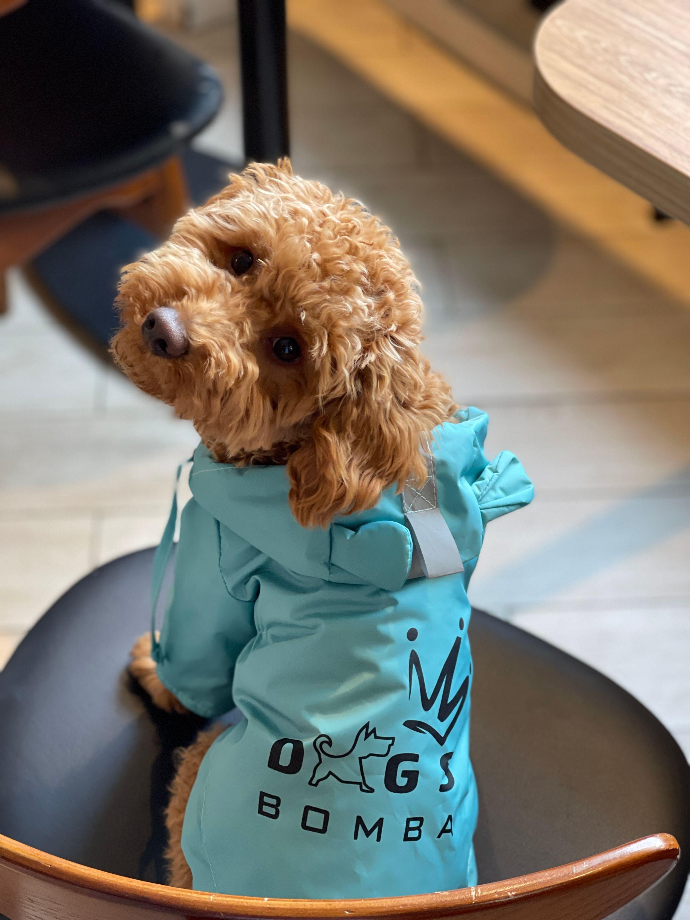 Дощовик для собак Dogs Bomba M-72 DB р. 7 Бірюзовий (70579171)