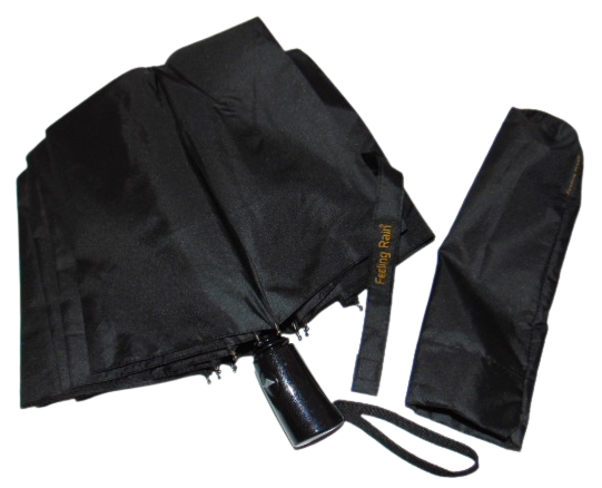 Зонт мужской полуавтомат Feeling Rain 061 антиветер 10 спиц Черный (1651122604)