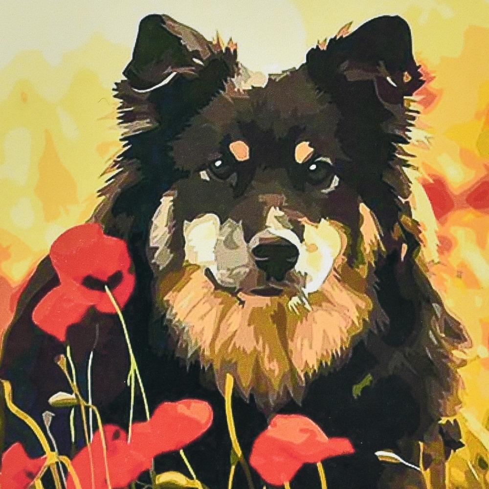 Картина по номерам Strateg Песик в маковом поле алмазная вышивка мозаика 30x30 см (VM-127-A-215)