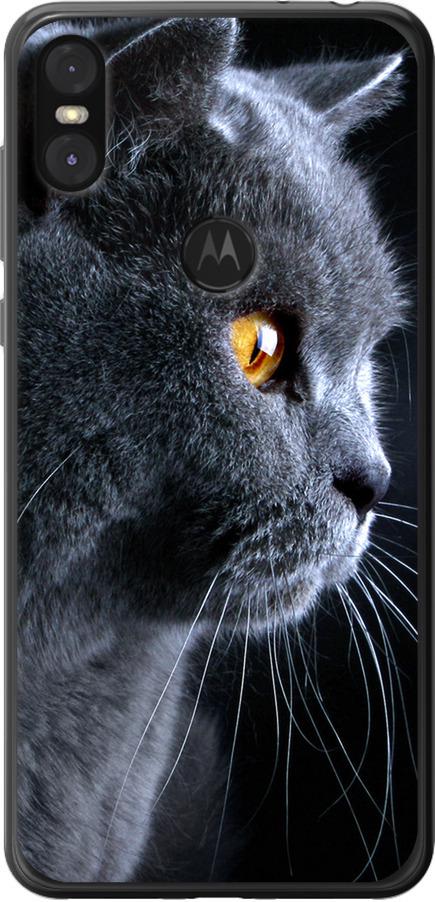 Чехол на Motorola One Красивый кот (3038u-1589-42517)