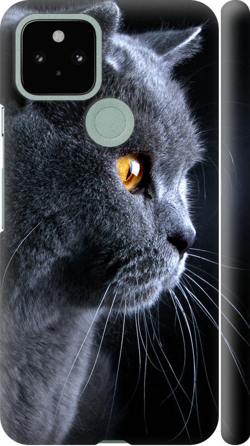 Чехол на Google Pixel 5 Красивый кот (3038m-2044-42517)