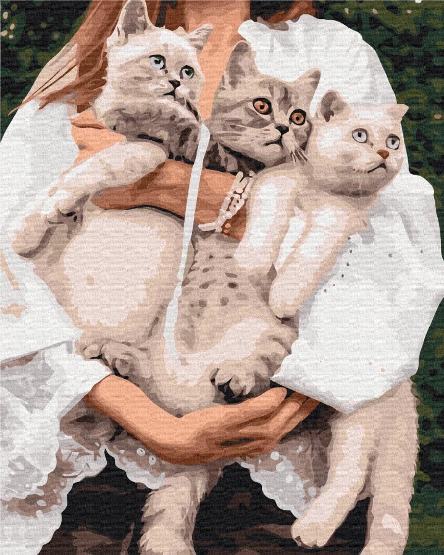 Картина по номерам Brushme Премиум Любимые муркотики 40x50 см (PBS52508)