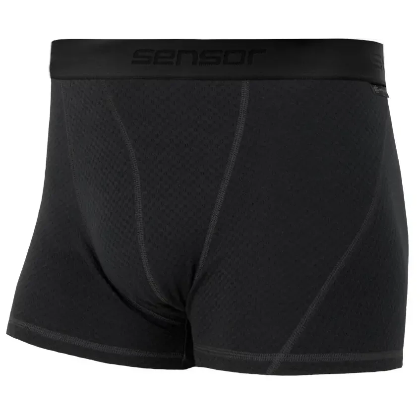 Термотрусы мужские Sensor Merino DF black 15100027 Black (SM21M-black-M)