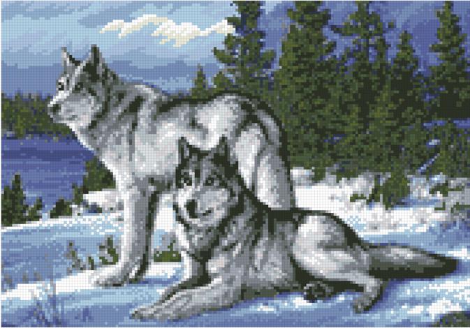 Алмазная мозаика Волки 30х40 см (АМШ-177)