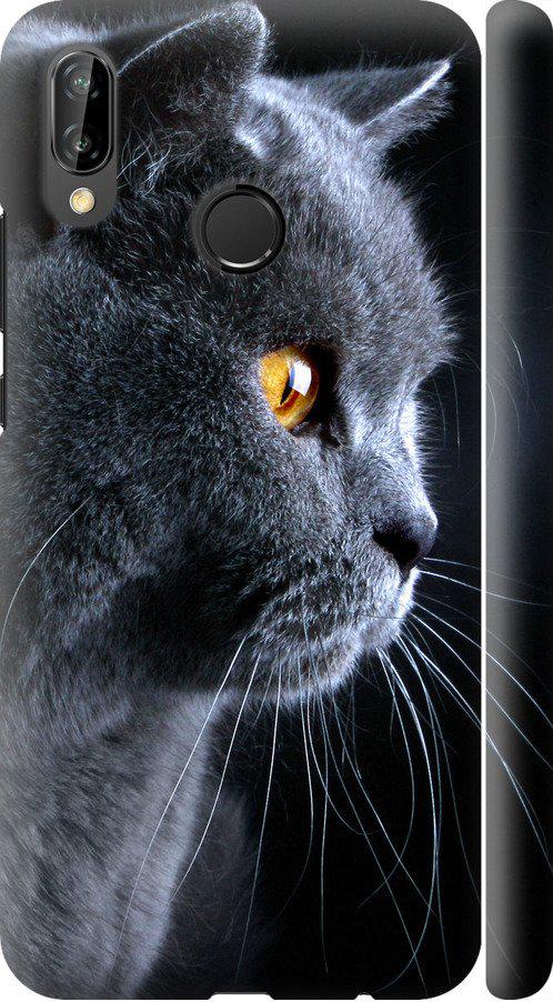 Чехол на Huawei P20 Lite Красивый кот (3038c-1410-42517)