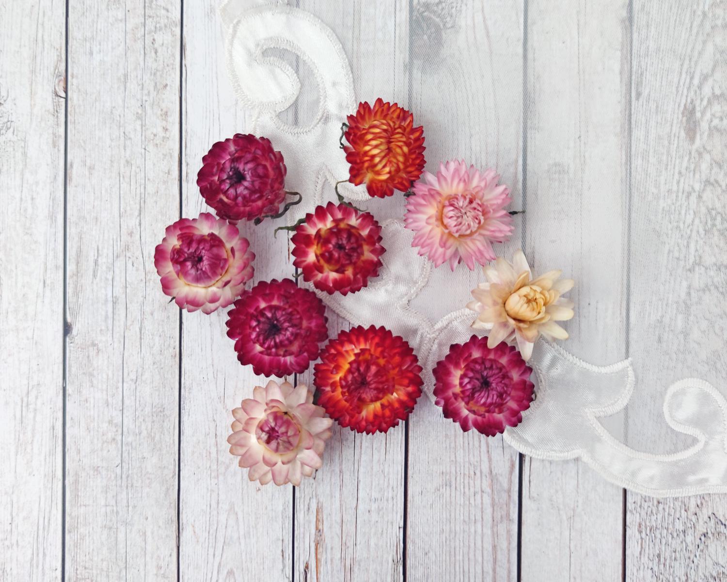 Сухоцвіт квіти геліхрізуму мікс 20 шт. діаметр 1,7-2.5 см (2682199413)