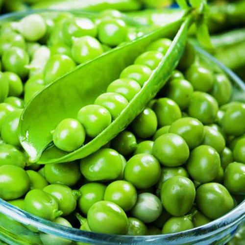 Семена Горох Florium Лея (9099)