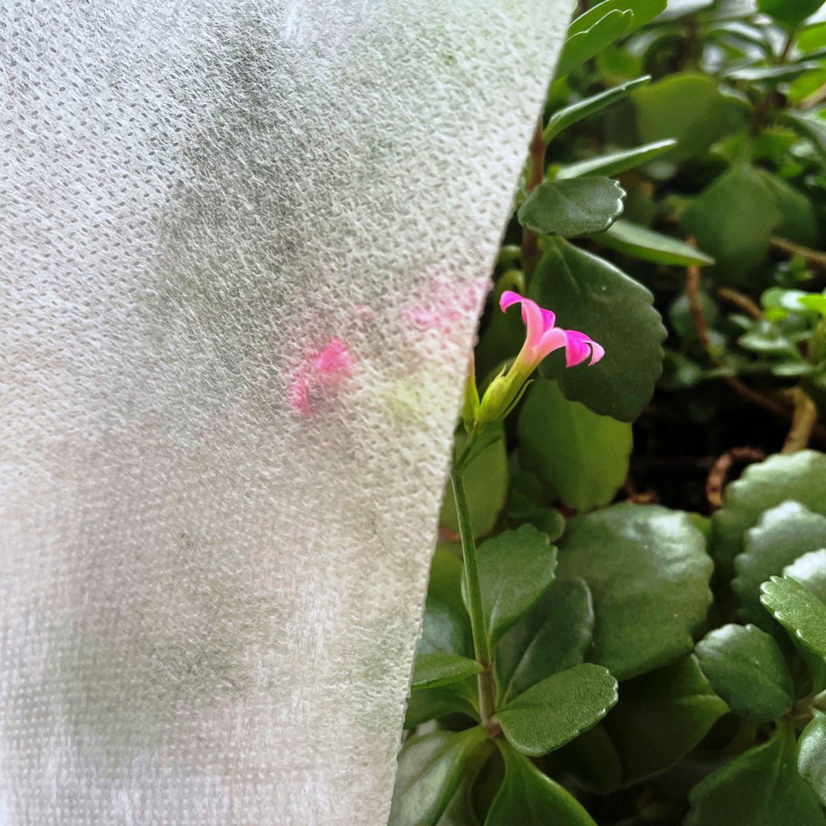 Агроволокно Greentex Р100 3,2x15 м Белый (25247123) - фото 11 Агроволокно Greentex Р100 3,2x15 м Белый (25247123) - фото 11